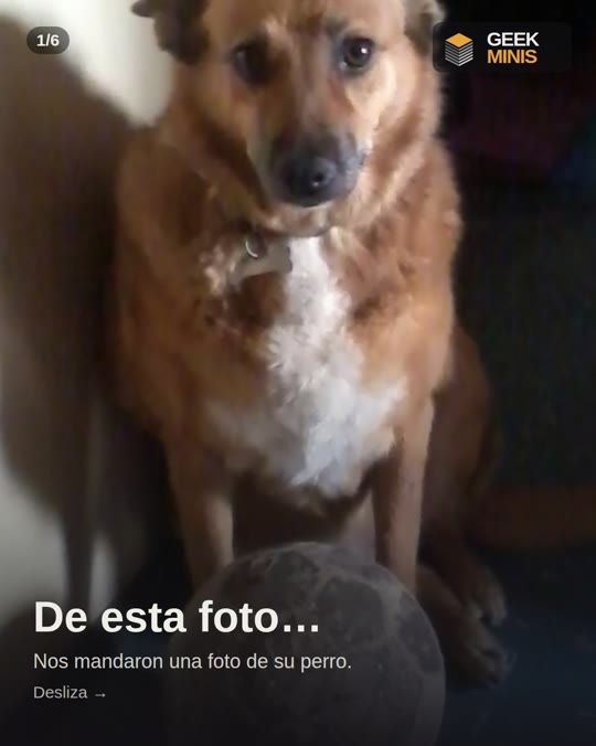 La foto que nos mandaron